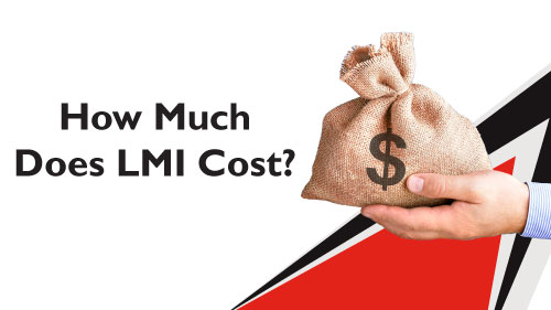 how much does lmi cost