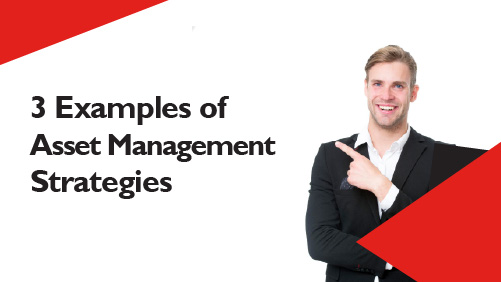 Examples of Asset Management Strategies