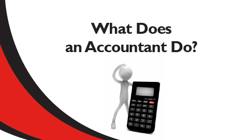 What Does an Accountant Do